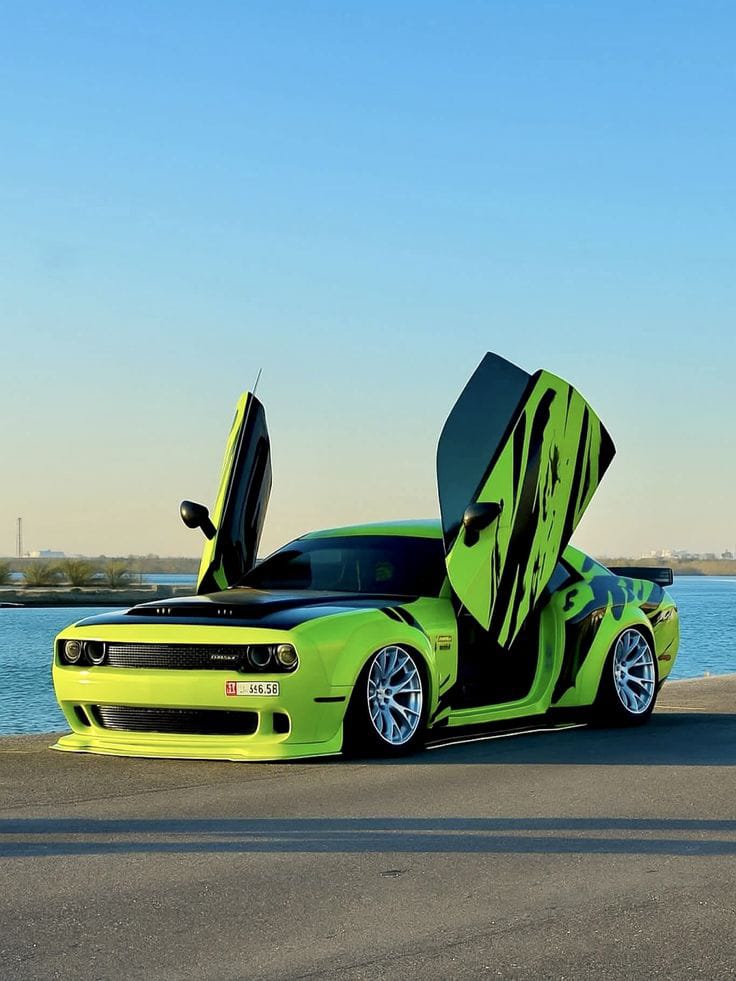 Custom logo sticker and wallor car sticker design